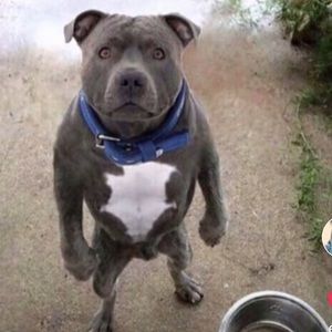 Meet your Posher, Glen